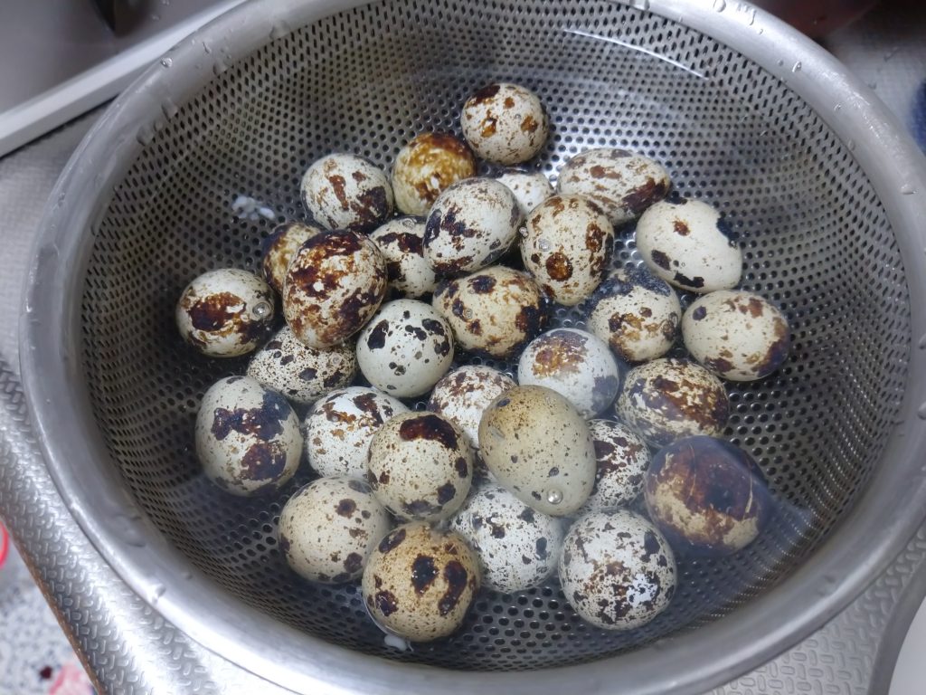 キャンプ焼鳥の半熟うずら卵を仕込む